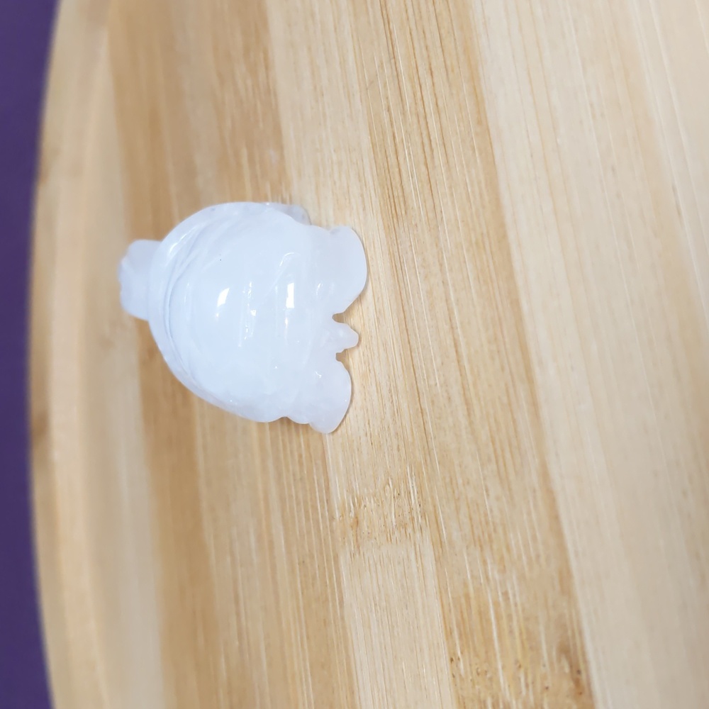 Mini Quartz Turtle 🐢 - Picture 9 of 12